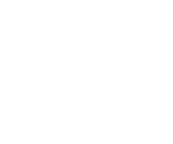 South Bank Corporation Logo White